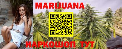 apvp Кингисепп