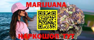 apvp Кингисепп