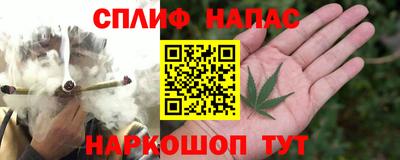 apvp Кингисепп
