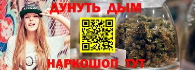 apvp Кингисепп