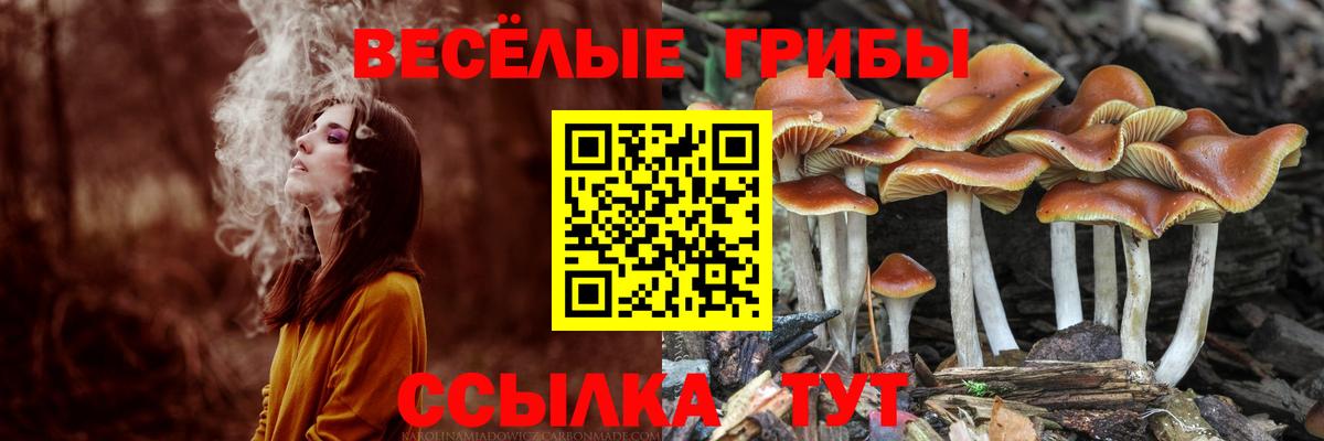 Галлюциногенные грибы мухоморы  Вход с VPN  Георгиевск 